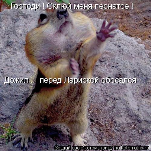 Господи ! Склюй меня пернатое ! Дожил ... перед Лариской обосался... Котоматрица: Господи ! Склюй меня пернатое ! Дожил ... перед Лариской обосался