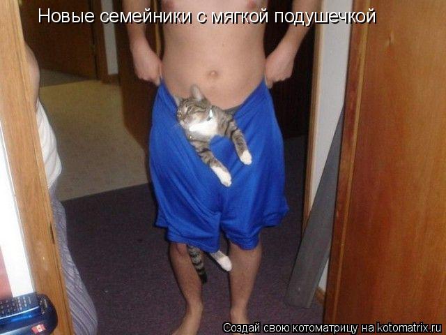 Новые семейники с мягкой подушечкой... Котоматрица: Новые семейники с мягкой подушечкой