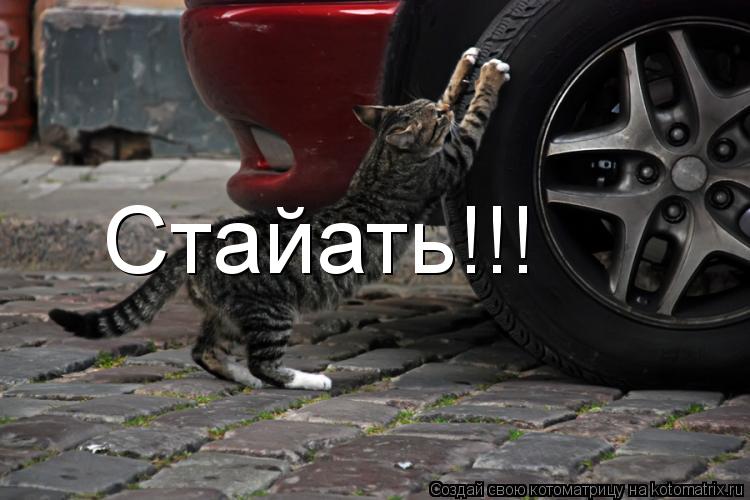 Стайать!!!... Котоматрица: Стайать!!!