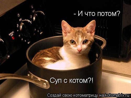 - И что потом? Суп с котом?!... Котоматрица: - И что потом? Суп с котом?!
