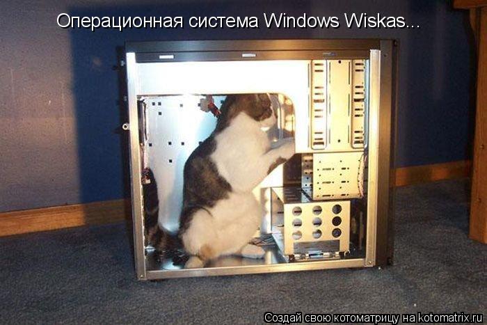 Операционная система Windows Wiskas...... Котоматрица: Операционная система Windows Wiskas...