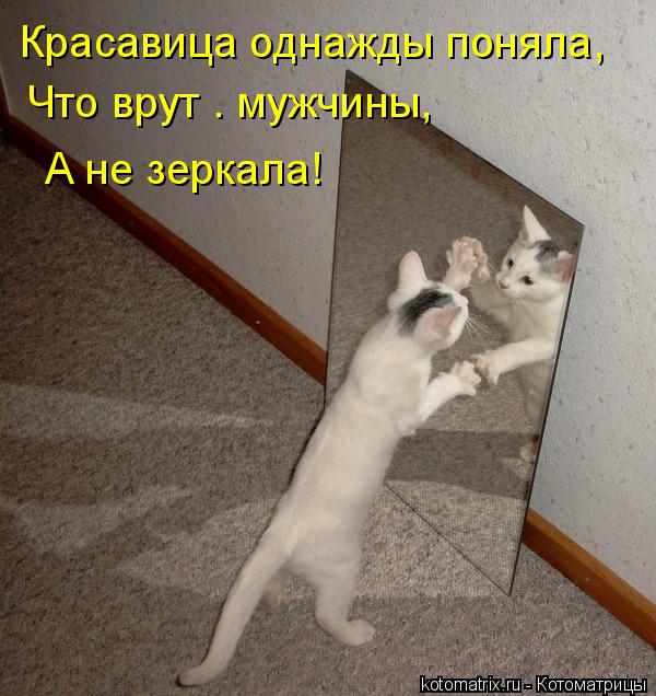Красавица однажды поняла, Что врут – мужчины, А не зеркала!... Котоматрица: Красавица однажды поняла, Что врут – мужчины, А не зеркала!