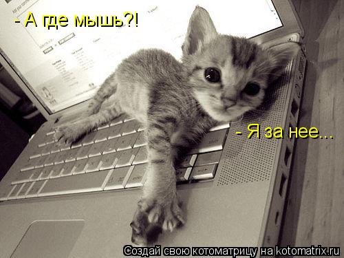 - Я за нее... - А где мышь?!... Котоматрица: - Я за нее... - А где мышь?!