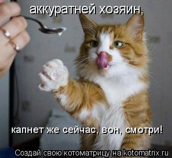 аккуратней хозяин, капнет же сейчас, вон, смотри!... Котоматрица: аккуратней хозяин, капнет же сейчас, вон, смотри!
