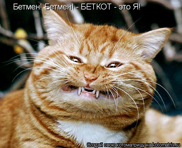 Котоматрица: Бетмен! Бетмен! - БЕТКОТ - это Я!