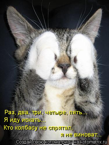Раз, два, три, четыре, пять... Я иду искать... Кто колбасу не спрятал, я не виноват...... Котоматрица: Раз, два, три, четыре, пять... Я иду искать... Кто колбасу не спрятал, я не виноват...