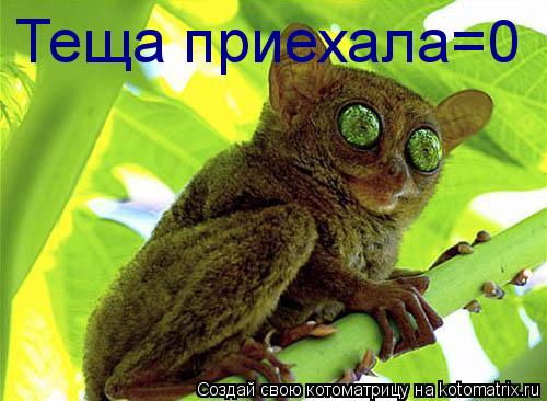 Теща приехала=0... Котоматрица: Теща приехала=0