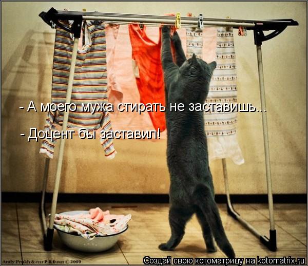 - А моего мужа стирать не заставишь... - Доцент бы заставил!... Котоматрица: - А моего мужа стирать не заставишь... - Доцент бы заставил!