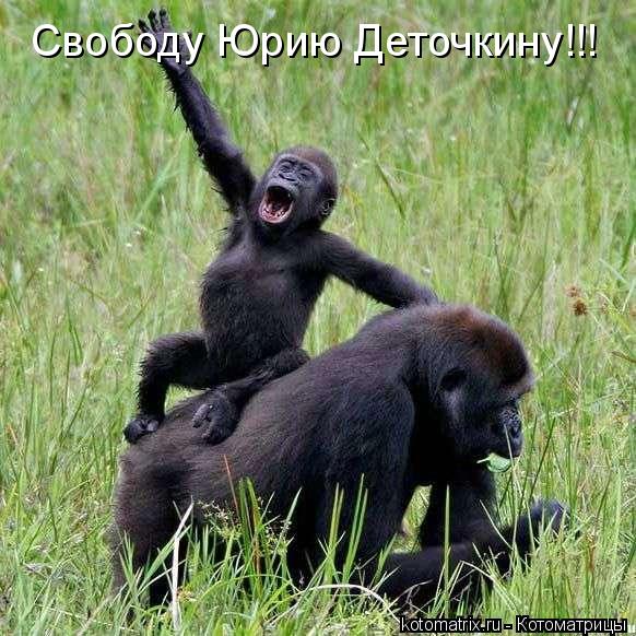 Свободу Юрию Деточкину!!!... Котоматрица: Свободу Юрию Деточкину!!!
