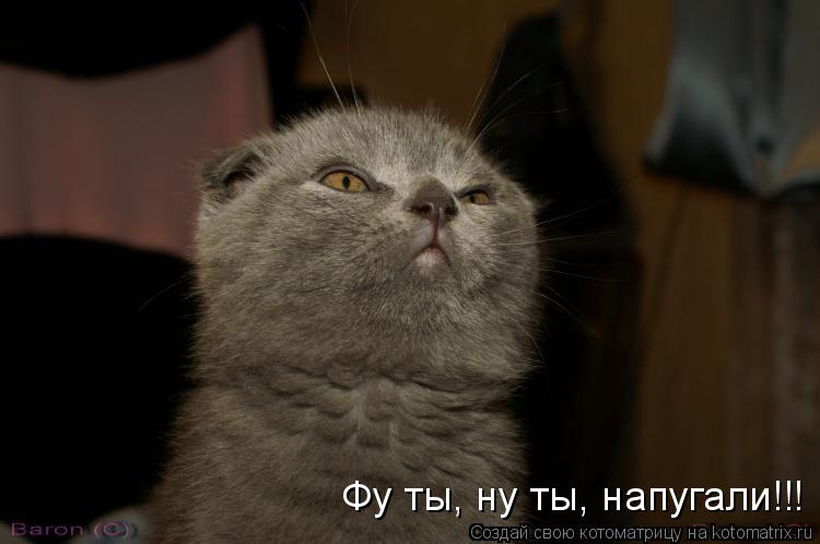 Фу ты, ну ты, напугали!!!... Котоматрица: Фу ты, ну ты, напугали!!!