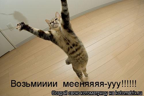 Возьмииии мееняяяя-ууу!!!!!!... Котоматрица: Возьмииии мееняяяя-ууу!!!!!!