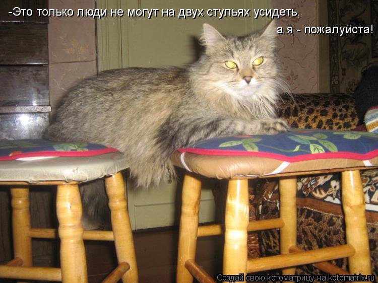 -Это только люди не могут на двух стульях усидеть, а я - пожалуйста!... Котоматрица: -Это только люди не могут на двух стульях усидеть, а я - пожалуйста!