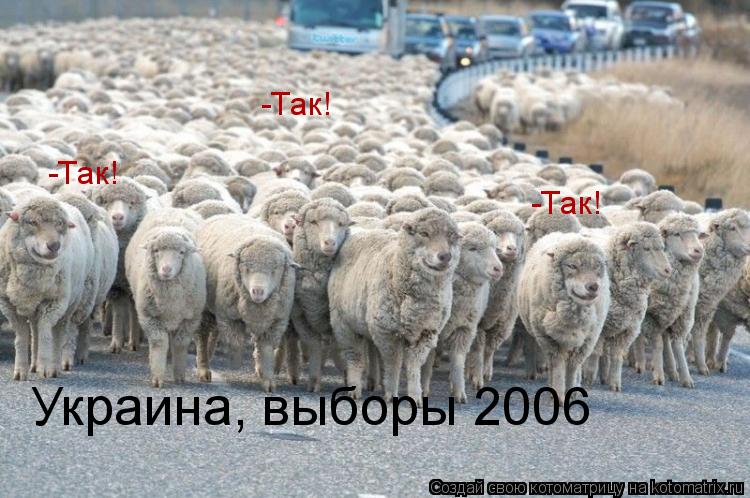 Украина, выборы 2006 -Так! -Так! -Так! -Так!... Котоматрица: Украина, выборы 2006 -Так! -Так! -Так! -Так!