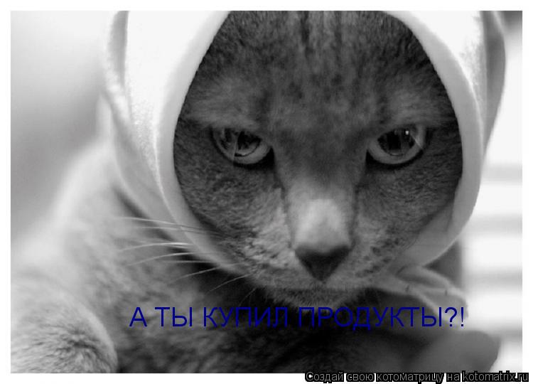 А ТЫ КУПИЛ ПРОДУКТЫ?!... Котоматрица: А ТЫ КУПИЛ ПРОДУКТЫ?!