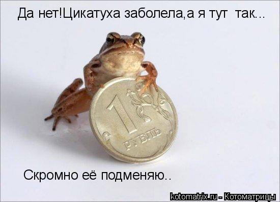 Да нет!Цикатуха заболела,а я тут так... Скромно её подменяю..... Котоматрица: Да нет!Цикатуха заболела,а я тут так... Скромно её подменяю..