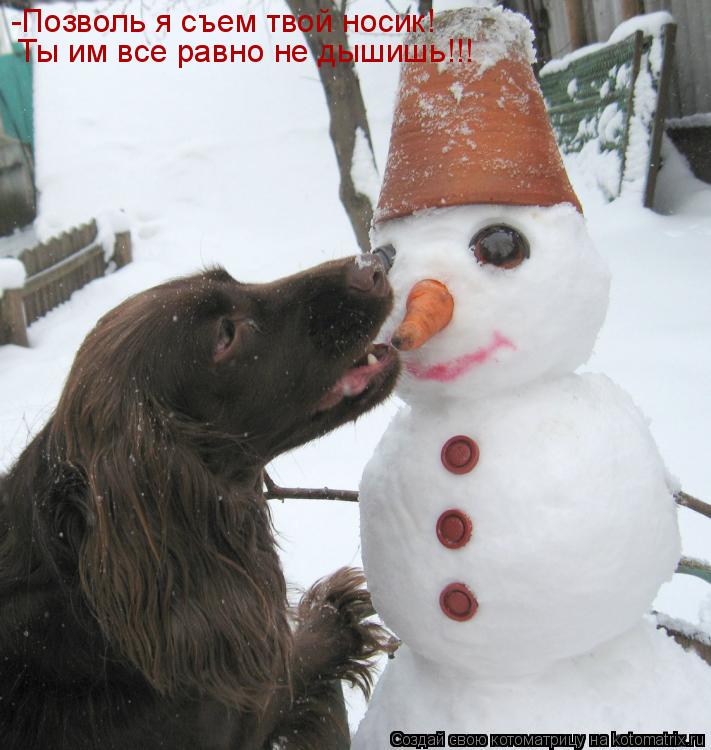 -Позволь я съем твой носик! Ты им все равно не дышишь!!!... Котоматрица: -Позволь я съем твой носик! Ты им все равно не дышишь!!!