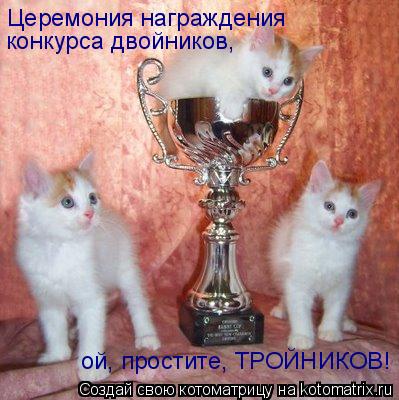 Церемония награждения конкурса двойников, ой, простите, ТРОЙНИКОВ!... Котоматрица: Церемония награждения конкурса двойников, ой, простите, ТРОЙНИКОВ!