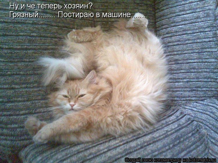 Ну и че теперь хозяин? Грязный........ Постираю в машине.......... Котоматрица: Ну и че теперь хозяин? Грязный........ Постираю в машине.......