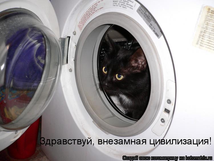 Здравствуй, внезамная цивилизация!... Котоматрица: Здравствуй, внезамная цивилизация!