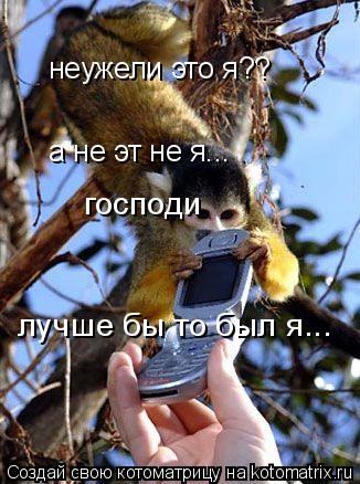неужели это я?? а не эт не я... господи лучше бы то был я...... Котоматрица: неужели это я?? а не эт не я... господи лучше бы то был я...