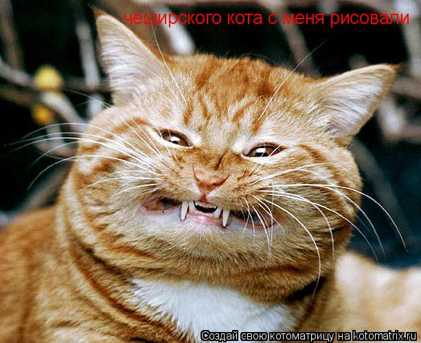 чеширского кота с меня рисовали... Котоматрица: чеширского кота с меня рисовали