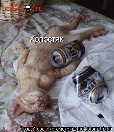 Холостяк... Котоматрица: Холостяк