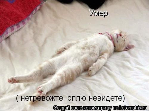 Умер. ( нетревожте, сплю невидете)... Котоматрица: Умер. ( нетревожте, сплю невидете)