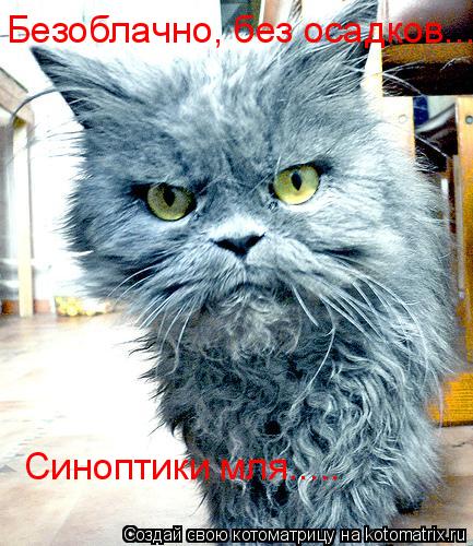 Безоблачно, без осадков.... Синоптики мля........ Котоматрица: Безоблачно, без осадков.... Синоптики мля.....