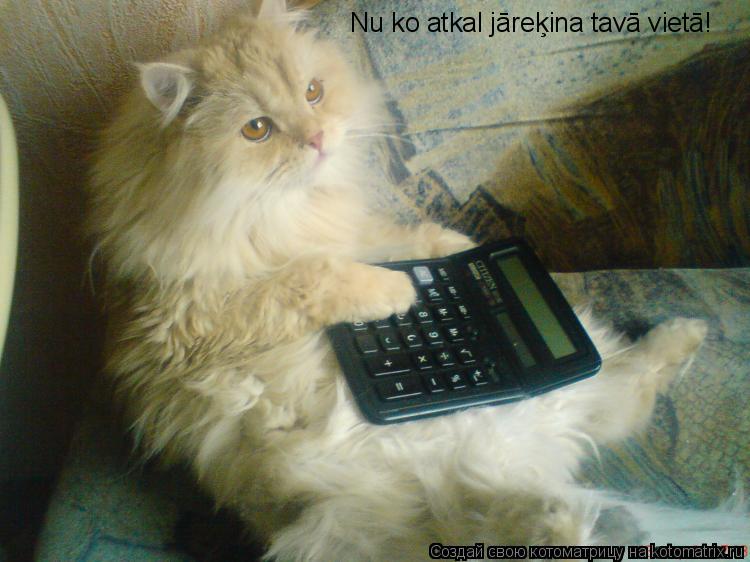 Nu ko atkal jāreķina tavā vietā!... Котоматрица: Nu ko atkal jāreķina tavā vietā!