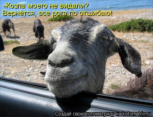 -Козла моего не видали? Вернётся, все рога по отшибаю!... Котоматрица: -Козла моего не видали? Вернётся, все рога по отшибаю!