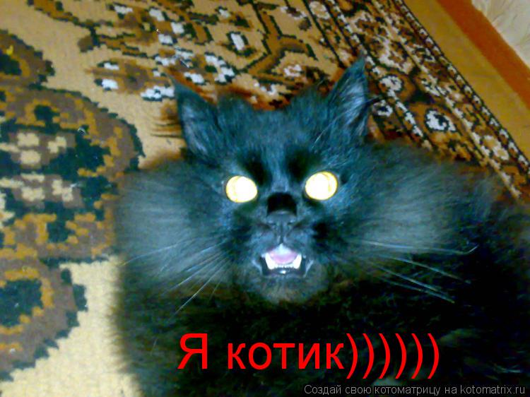 Я котик))))))... Котоматрица: Я котик))))))