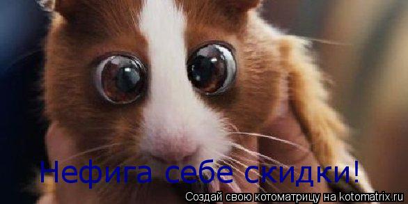 Нефига себе скидки!... Котоматрица: Нефига себе скидки!