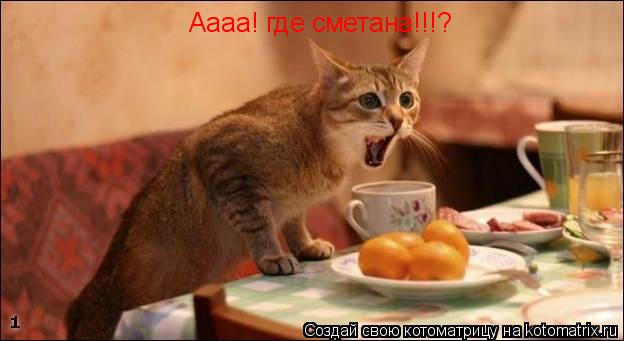 Аааа! где сметана!!!?... Котоматрица: Аааа! где сметана!!!?