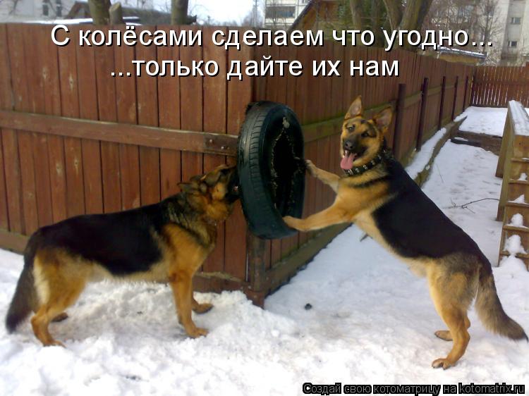С колёсами сделаем что угодно... ...только дайте их нам... Котоматрица: С колёсами сделаем что угодно... ...только дайте их нам