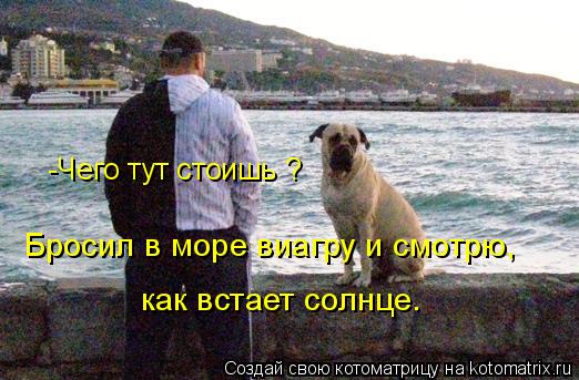 -Чего тут стоишь ? Бросил в море виагру и смотрю, как встает солнце.... Котоматрица: -Чего тут стоишь ? Бросил в море виагру и смотрю, как встает солнце.