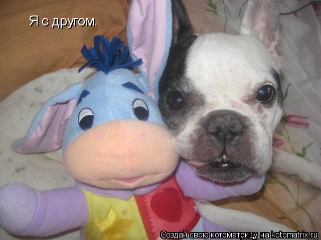 Я с другом.... Котоматрица: Я с другом.