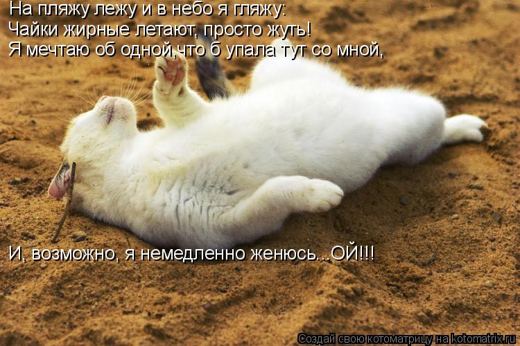 На пляжу лежу и в небо я гляжу: Чайки жирные летают, просто жуть! Я мечтаю об одной,что б упала тут с... Котоматрица: На пляжу лежу и в небо я гляжу: Чайки жирные летают, просто жуть! Я мечтаю об одной,что б упала тут со мной, И, возможно, я немедленно женюсь...О
