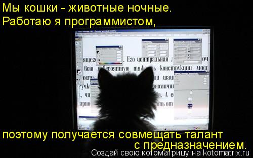 Мы кошки - животные ночные. поэтому получается совмещать талант с предназначением. Работаю я программ... Котоматрица: Мы кошки - животные ночные. поэтому получается совмещать талант с предназначением. Работаю я программистом,