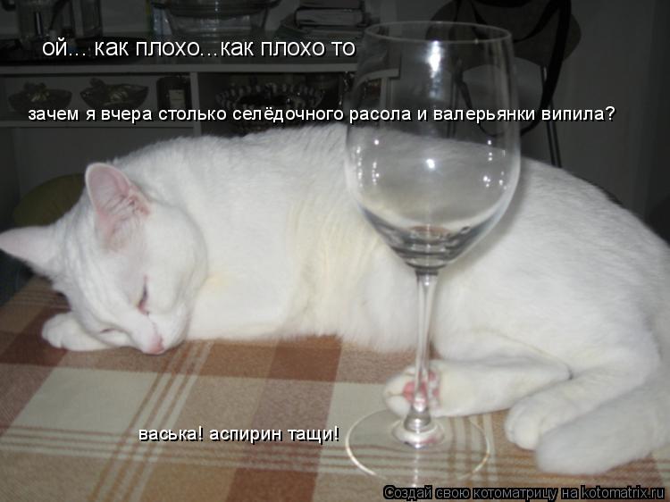 ой... как плохо...как плохо то зачем я вчера столько селёдочного расола и валерьянки випила? васька! ... Котоматрица: ой... как плохо...как плохо то зачем я вчера столько селёдочного расола и валерьянки випила? васька! аспирин тащи!