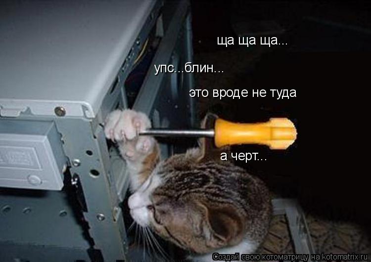 ща ща ща... упс...блин... это вроде не туда а черт...... Котоматрица: ща ща ща... упс...блин... это вроде не туда а черт...
