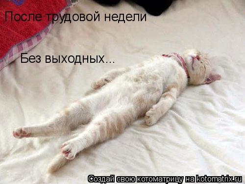 После трудовой недели Без выходных...... Котоматрица: После трудовой недели Без выходных...