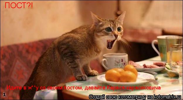 ПОСТ?! Идите в ж**у со своим постом, давайте Карася-карасиковича... Котоматрица: ПОСТ?! Идите в ж**у со своим постом, давайте Карася-карасиковича