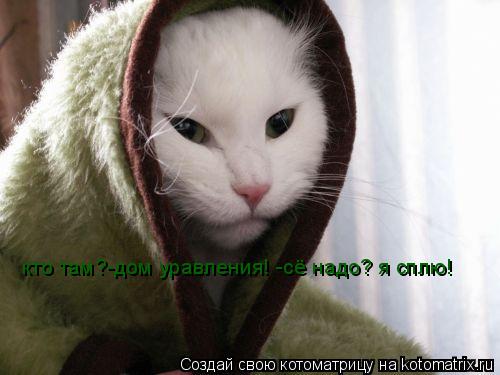 кто там?-дом уравления! -сё надо? я сплю!... Котоматрица: кто там?-дом уравления! -сё надо? я сплю!