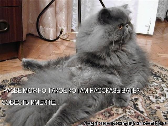 РАЗВЕ МОЖНО ТАКОЕ КОТАМ РАССКАЗЫВАТЬ? СОВЕСТЬ ИМЕЙТЕ...... Котоматрица: РАЗВЕ МОЖНО ТАКОЕ КОТАМ РАССКАЗЫВАТЬ? СОВЕСТЬ ИМЕЙТЕ...