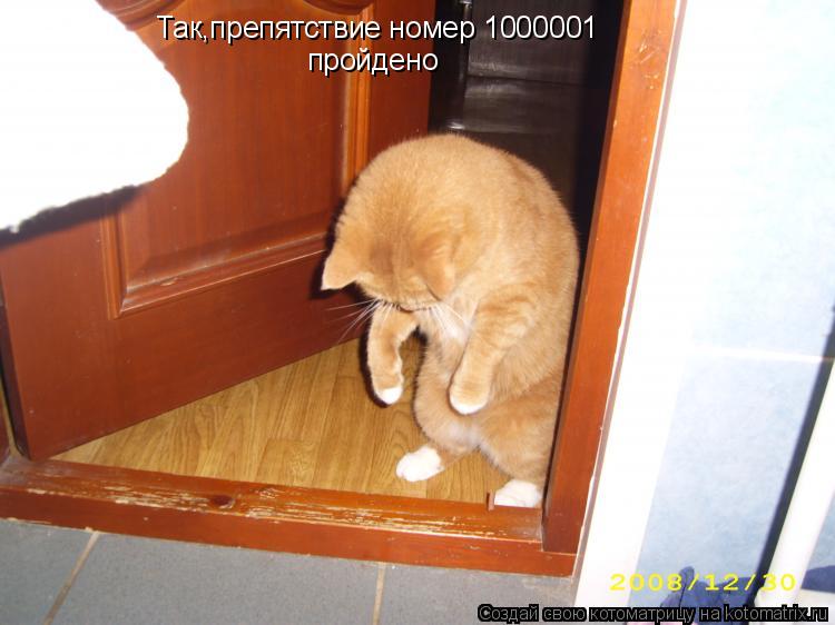 Котоматрица: Так,препятствие номер 1000001 пройдено