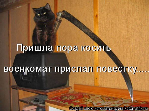 Пришла пора косить военкомат прислал повестку........ Котоматрица: Пришла пора косить военкомат прислал повестку.....