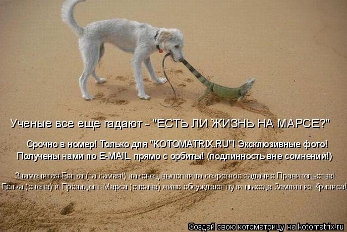 Ученые все еще гадают - "ЕСТЬ ЛИ ЖИЗНЬ НА МАРСЕ?" Срочно в номер! Только для "KOTOMATRIX.RU"! Эксклюз... Котоматрица: Ученые все еще гадают - "ЕСТЬ ЛИ ЖИЗНЬ НА МАРСЕ?" Срочно в номер! Только для "KOTOMATRIX.RU"! Эксклюзивные фото! Получены нами по E-MAIL, прямо с орби