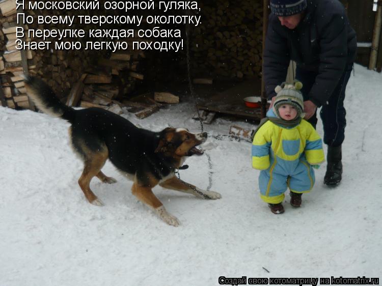 По всему тверскому околотку. Я московский озорной гуляка, В переулке каждая собака Знает мою легкую п... Котоматрица: По всему тверскому околотку. Я московский озорной гуляка, В переулке каждая собака Знает мою легкую походку!