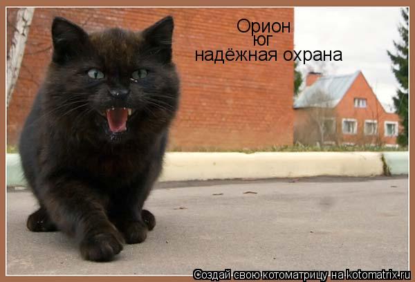 Орион Орион юг юг надёжная охрана... Котоматрица: Орион Орион юг юг надёжная охрана