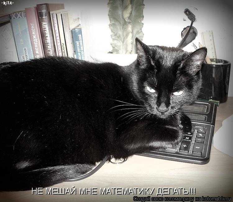 Котоматрица: НЕ МЕШАЙ МНЕ МАТЕМАТИКУ ДЕЛАТЬ!!!
